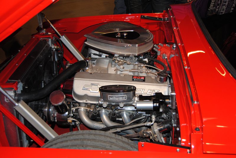 DSC_0248.JPG