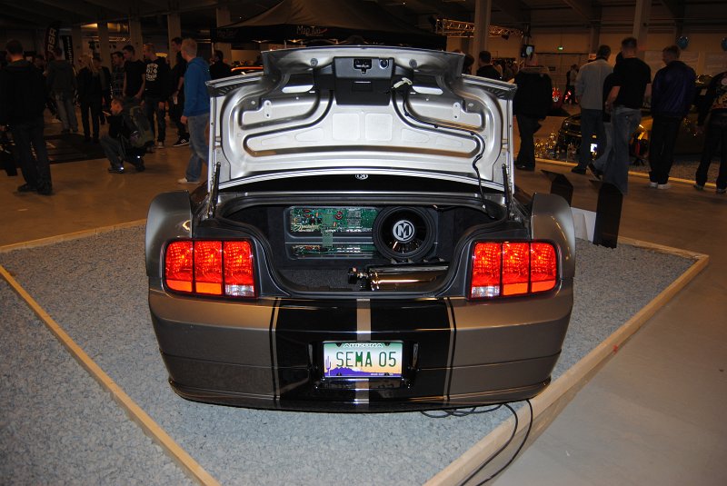 DSC_0336.JPG
