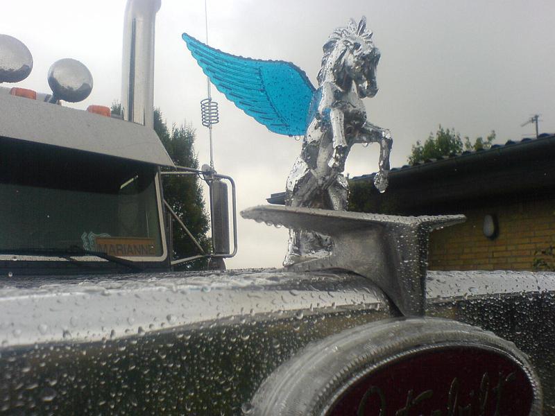 DSC01429.JPG