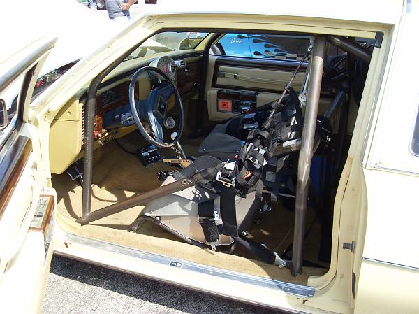 SDC10076.JPG