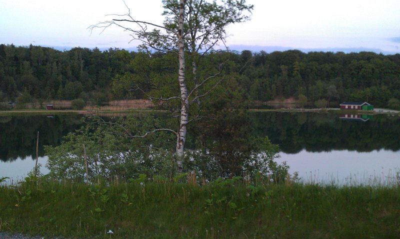 IMAG0156.jpg