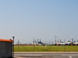 DSC 0142