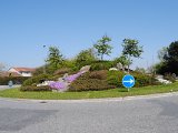 DSC 0162