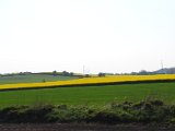 DSC 0274
