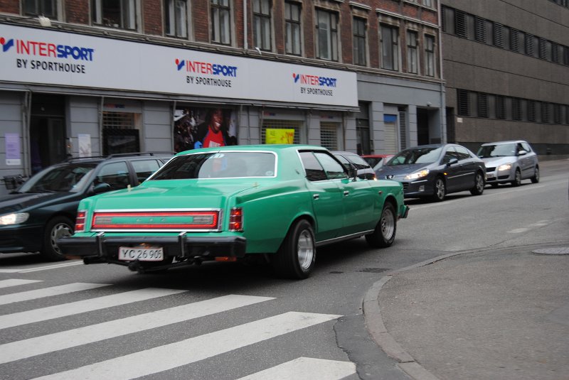 DSC_0176.JPG