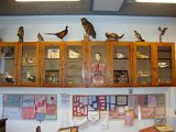 DSC05189