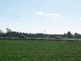 DSC06230