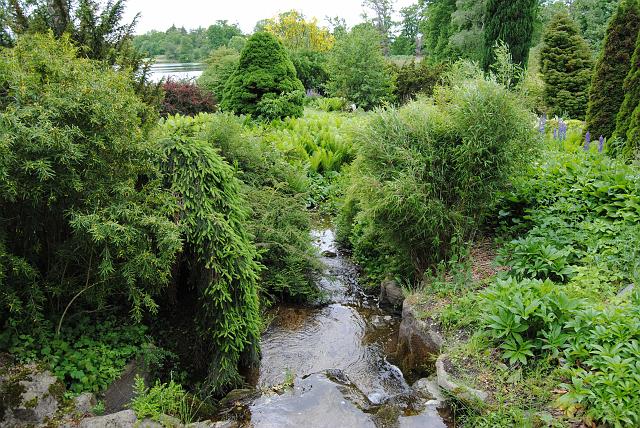 DSC_0193.JPG