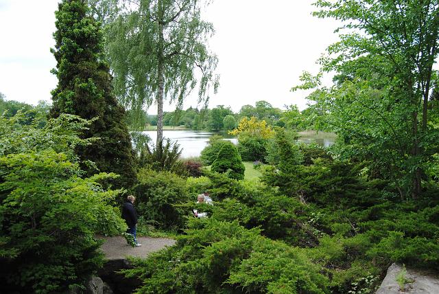 DSC_0199.JPG