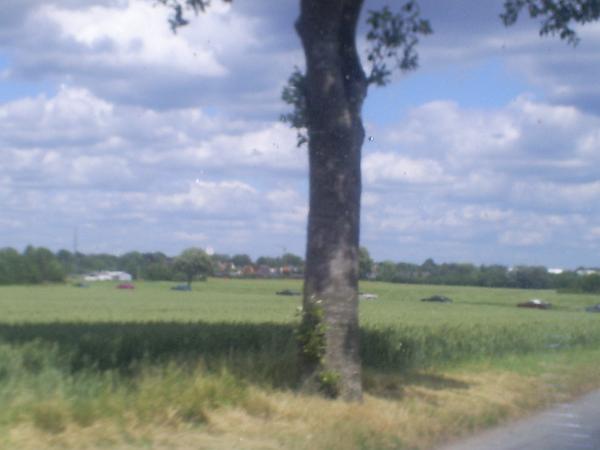 S5030878.JPG