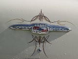 DSC03836