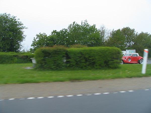 IMG_1979.JPG