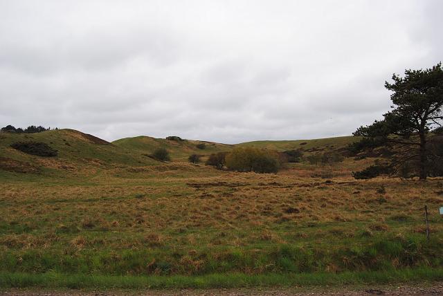DSC_0126.JPG