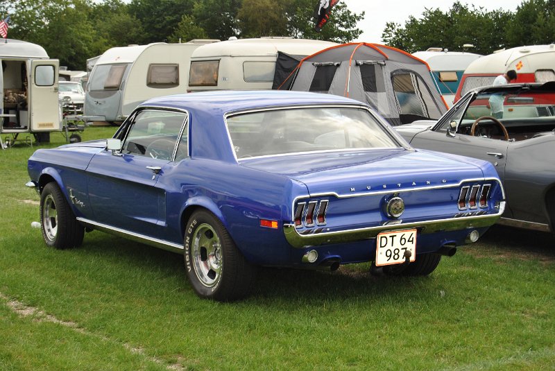 DSC_0221.JPG