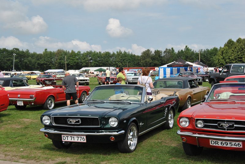 DSC_0345.JPG